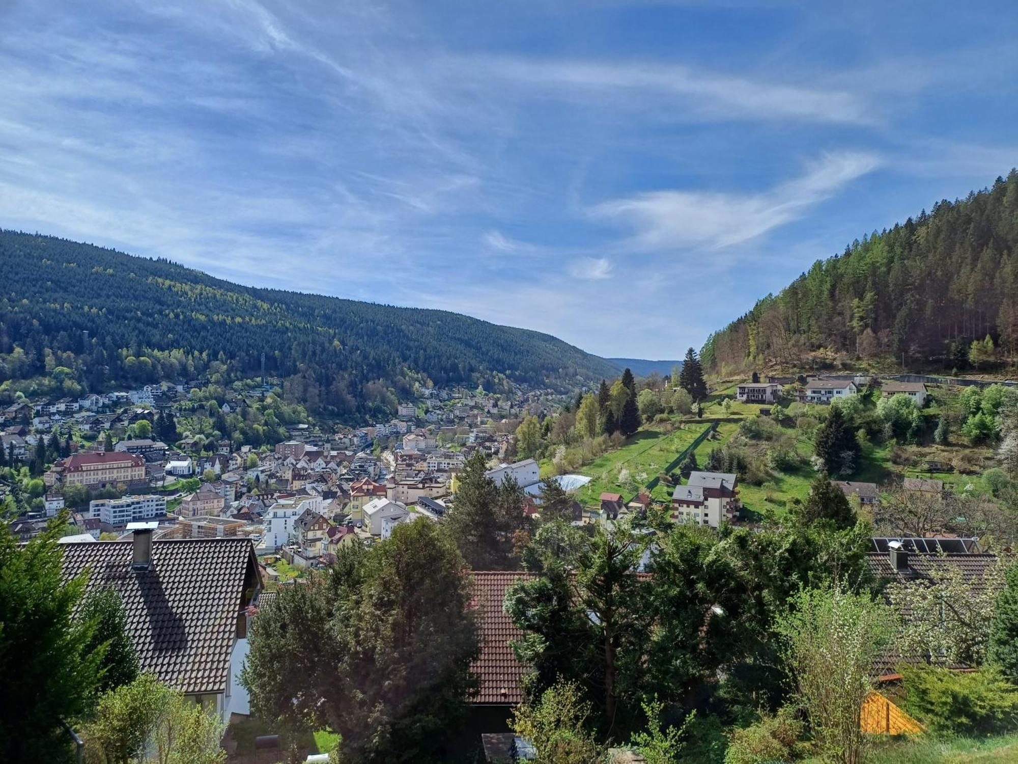 Ferienwohnung Panoramablick Bad Wildbad Buitenkant foto